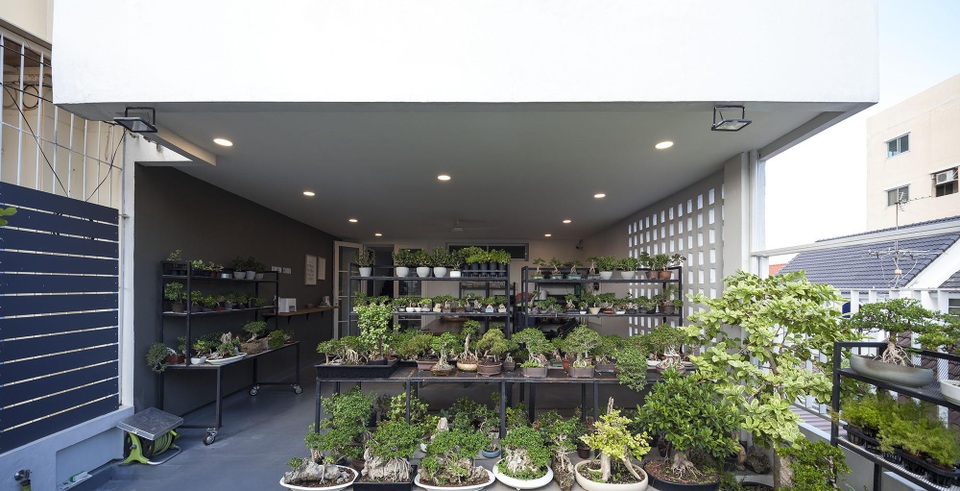 Choáng ngợp ngôi nhà 300m2 với khu vườn bonsai toàn cây “khủng” - 9 Choáng ngợp ngôi nhà 300m2 với khu vườn bonsai toàn cây “khủng” - 9