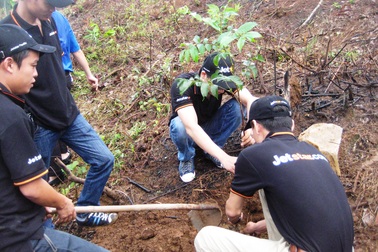 Mua vé máy bay, chung tay bảo vệ môi trường