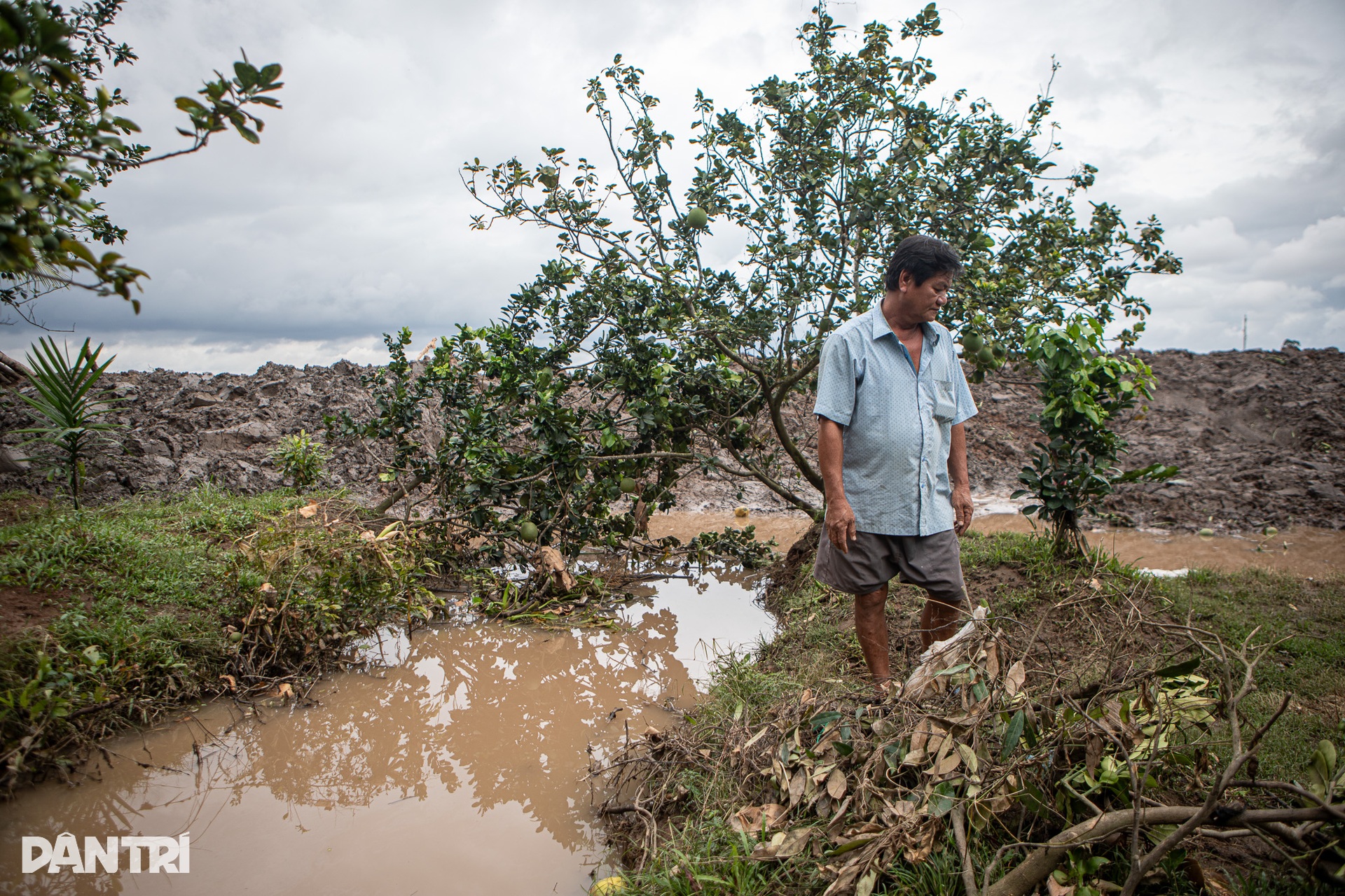 Nhiều nhà ven sông ở miền Tây bị nhấn chìm do sạt lở - 12 Nhiều nhà ven sông ở miền Tây bị nhấn chìm do sạt lở - 12