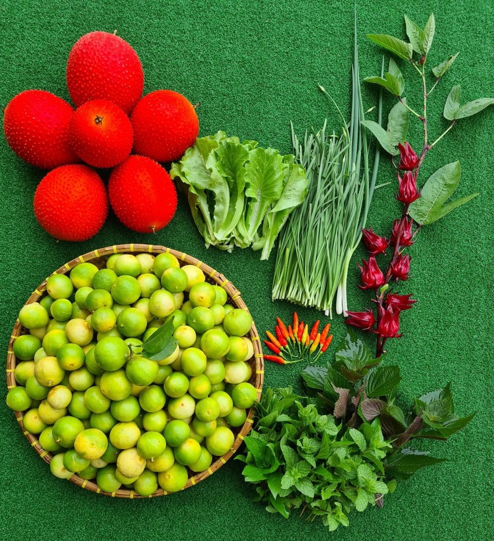 Khu vườn đẹp với hơn chục loại rau trái của mẹ Việt ở Malaysia - 10 Khu vườn đẹp với hơn chục loại rau trái của mẹ Việt ở Malaysia - 10