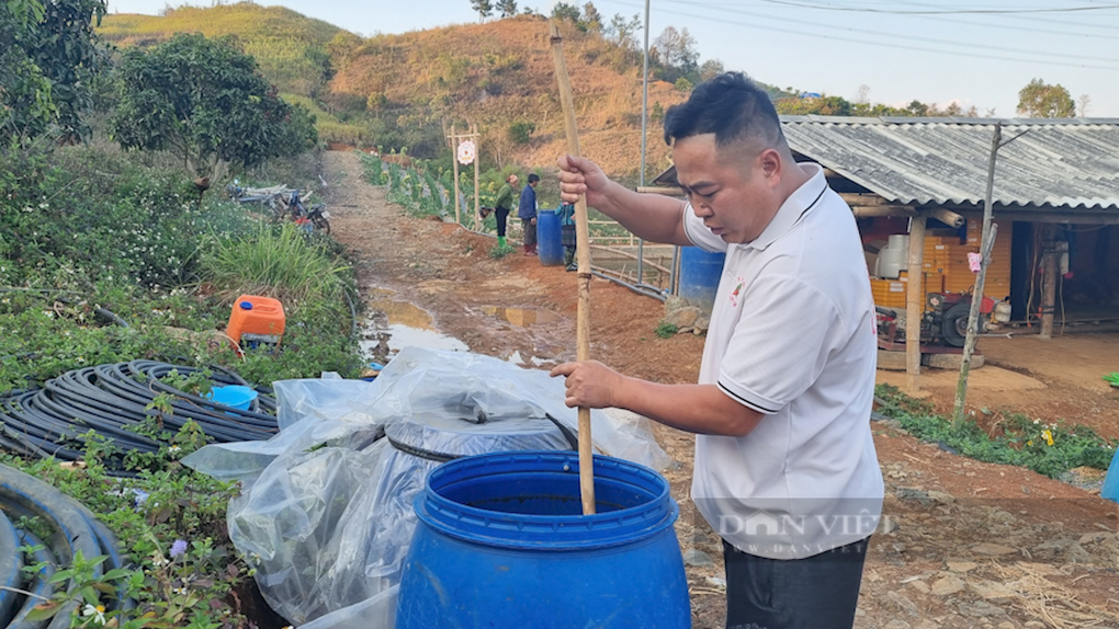 Trồng thứ quả chín đỏ gốc, hái mỏi tay mỗi ngày, nông dân thành tỷ phú - 4 Trồng thứ quả chín đỏ gốc, hái mỏi tay mỗi ngày, nông dân thành tỷ phú - 4
