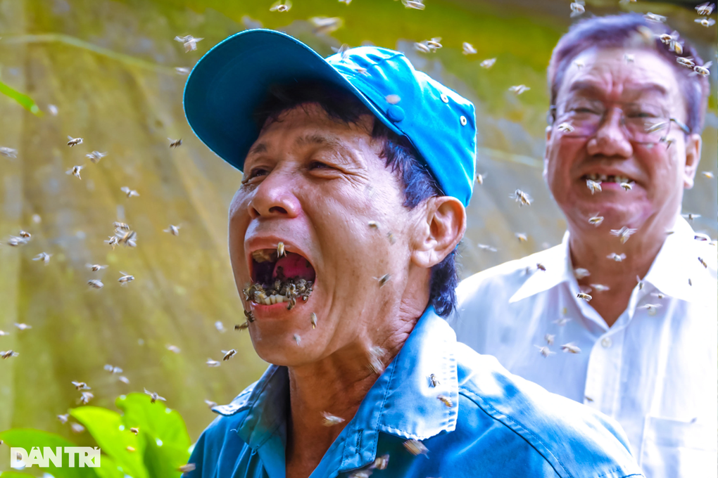 Ông thợ dị nhân vốc ong bỏ đầy miệng mà không sợ bị đốt - 2 Ông thợ dị nhân vốc ong bỏ đầy miệng mà không sợ bị đốt - 2