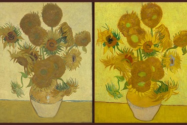Chuyện buồn gắn với loạt tranh về hoa hướng dương của Van Gogh