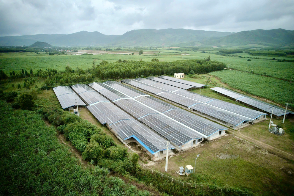 Tập đoàn Thành Nam mở rộng đầu tư, tham gia thị trường xuất khẩu cà phê - 3 Tập đoàn Thành Nam mở rộng đầu tư, tham gia thị trường xuất khẩu cà phê - 3