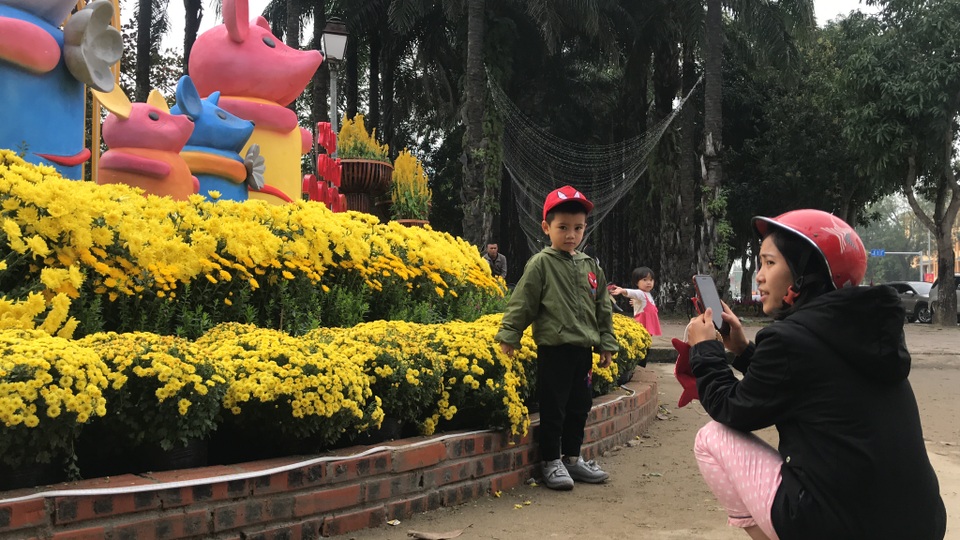 Ấn tượng những đường hoa rực rỡ sắc màu đón Tết ở thành Vinh  - 6