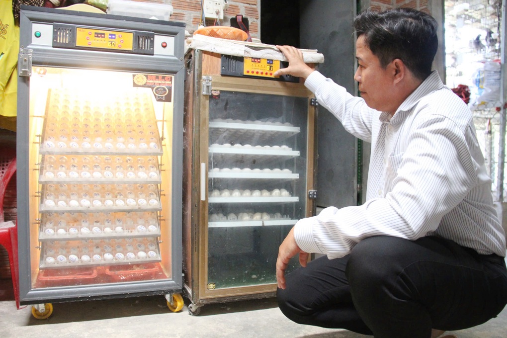 Thử sức với giống chim ngoại, nhẹ nhàng bỏ túi hơn 20 triệu đồng/tháng - 2 Thử sức với giống chim ngoại, nhẹ nhàng bỏ túi hơn 20 triệu đồng/tháng - 2