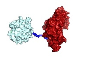 Triển vọng xử lý rác thải nhựa bằng loại enzyme mới