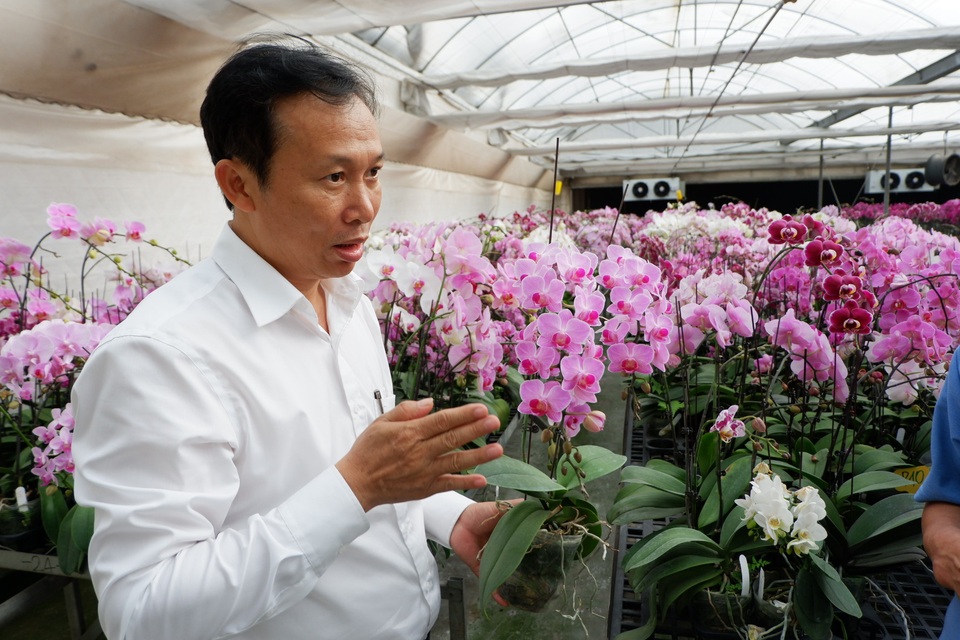 Hành trình hơn một thập kỷ với khát vọng đưa hoa Việt Nam vươn tầm thế giới của các nhà khoa học - 2 Hành trình hơn một thập kỷ với khát vọng đưa hoa Việt Nam vươn tầm thế giới của các nhà khoa học - 2