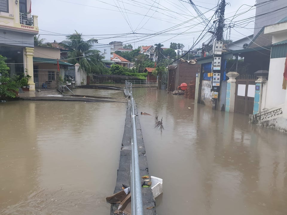 Bụi tre lớn sau nhà đổ vào phòng ngủ, 3 người nhập viện cấp cứu - 2