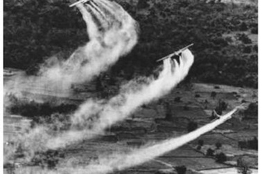 Việt - Mỹ tiếp tục đối thoại về chất độc da cam