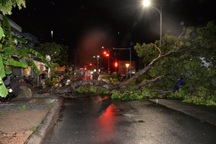 Dông lốc khiến nhiều cây xanh bật gốc, hàng chục nhà ở Đồng Tháp tốc mái