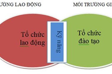 Cần coi trọng phát triển kỹ năng cho người học