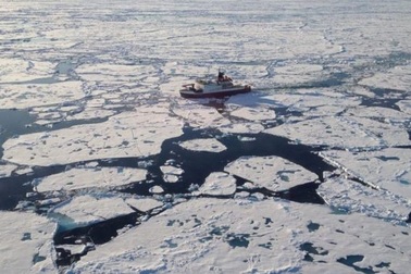 Nồng độ vi nhựa kỷ lục được tìm thấy ở Bắc Cực