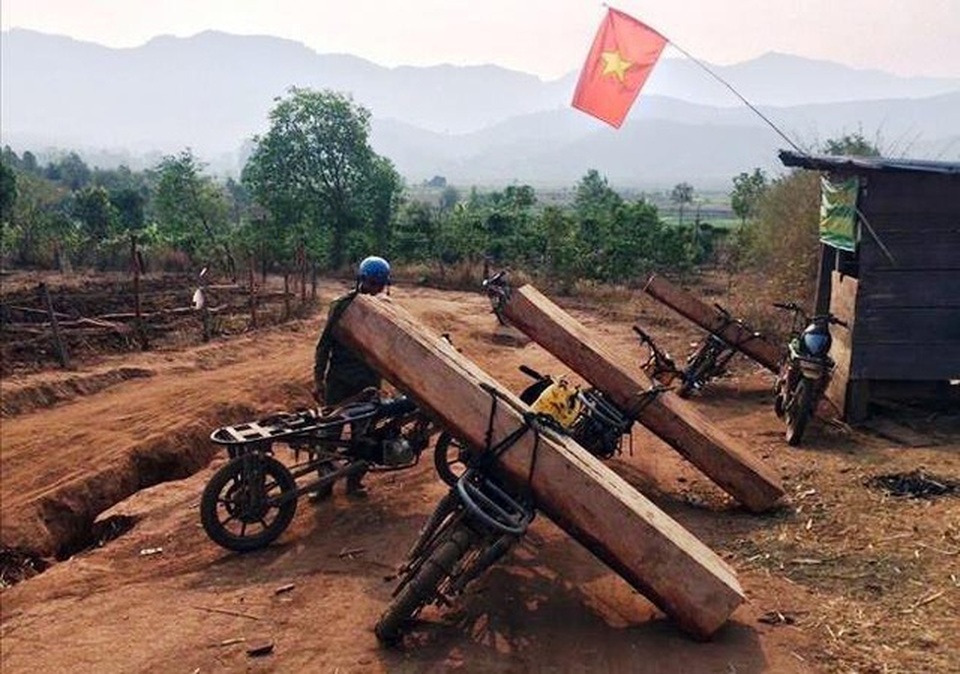 Bộ Nông nghiệp làm việc khẩn với tỉnh Kon Tum về nạn tàn phá rừng xanh! - 3 Bộ Nông nghiệp làm việc khẩn với tỉnh Kon Tum về nạn tàn phá rừng xanh! - 3