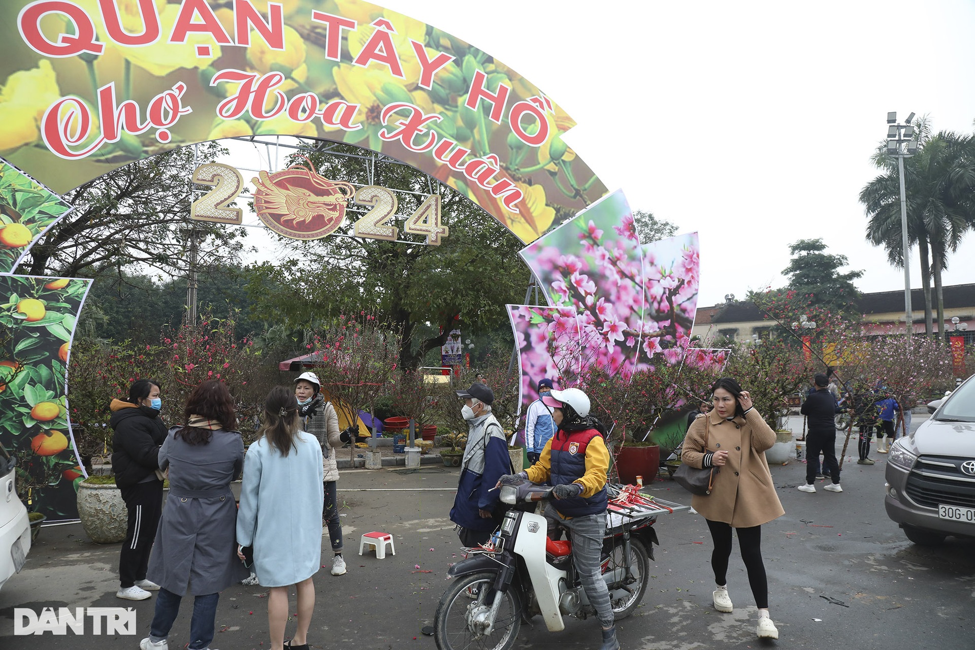 People flock to Lac Long Quan flower market to shop for Tet - 1