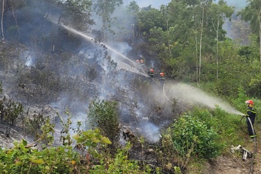 Hàng trăm người đang nỗ lực dập lửa trong vụ cháy rừng ở Quảng Bình