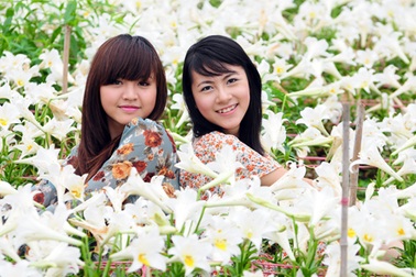 Miss teen “kể chuyện tình yêu” mùa hoa loa kèn