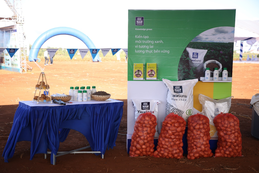 Yara Việt Nam phối hợp cùng PepsiCo Foods Việt Nam vì nền nông nghiệp phát triển bền vững - 4 Yara Việt Nam phối hợp cùng PepsiCo Foods Việt Nam vì nền nông nghiệp phát triển bền vững - 4