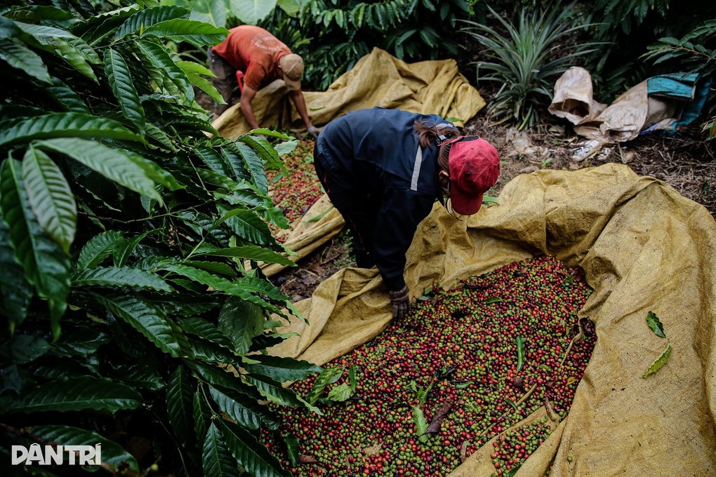 Sắp gỡ vướng thuế VAT, hàng nghìn tỷ đồng vốn doanh nghiệp chờ khai thông - 1 Sắp gỡ vướng thuế VAT, hàng nghìn tỷ đồng vốn doanh nghiệp chờ khai thông - 1