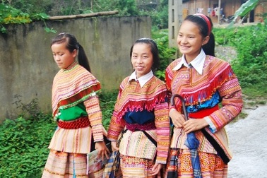 78 cô gái mất tích bí ẩn: Những “bông hoa rừng” bị hái trộm