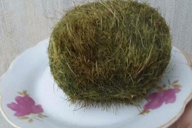 Mổ bụng lợn nái, phát hiện vật lạ giống “cát lợn”