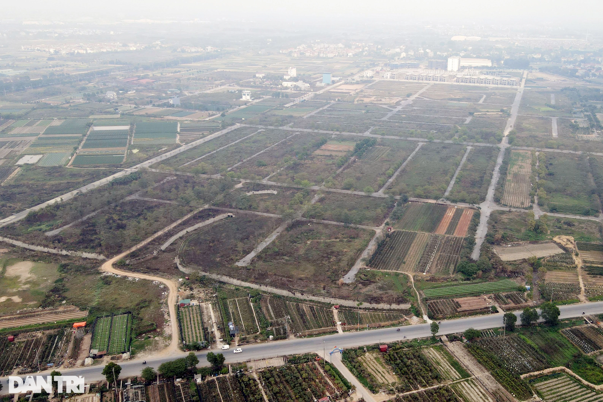Nhiều khu đô thị đã có cả thập kỷ vẫn để chăn thả bò, trồng cỏ ở Mê Linh - 13 Nhiều khu đô thị đã có cả thập kỷ vẫn để chăn thả bò, trồng cỏ ở Mê Linh - 13