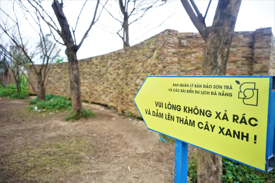Xót xa con đường mùa đông ở Đà Nẵng bị giẫm đạp tan hoang - 10 Xót xa con đường mùa đông ở Đà Nẵng bị giẫm đạp tan hoang - 10