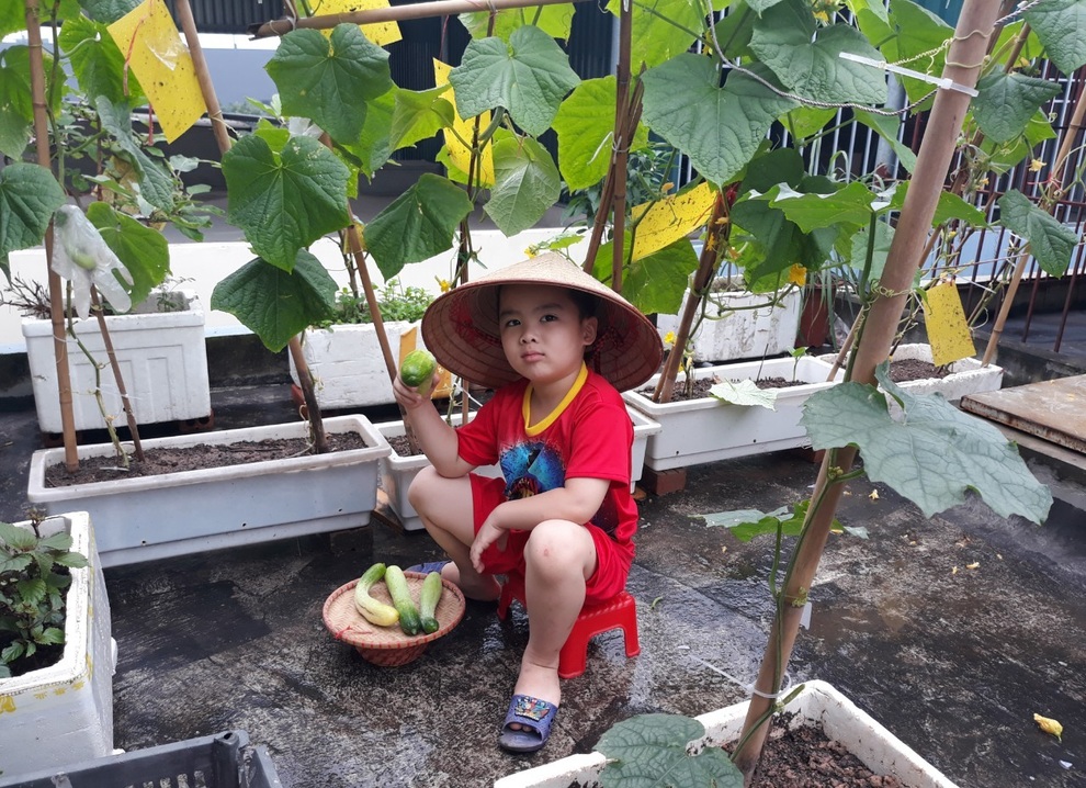 Vườn nhỏ cái gì cũng có trên sân thượng của mẹ đảm Hà Nội - 13 Vườn nhỏ cái gì cũng có trên sân thượng của mẹ đảm Hà Nội - 13