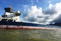 Bão “nuốt chửng” 10 tàu hàng: Phê bình lãnh đạo Cảng vụ Hàng hải Quy Nhơn