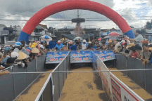 Kỳ thú màn đua heo sọc dưa, bắt gà vườn ở cao nguyên