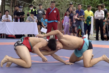 Sôi động hội Vật truyền thống các dân tộc thiểu số Việt Nam