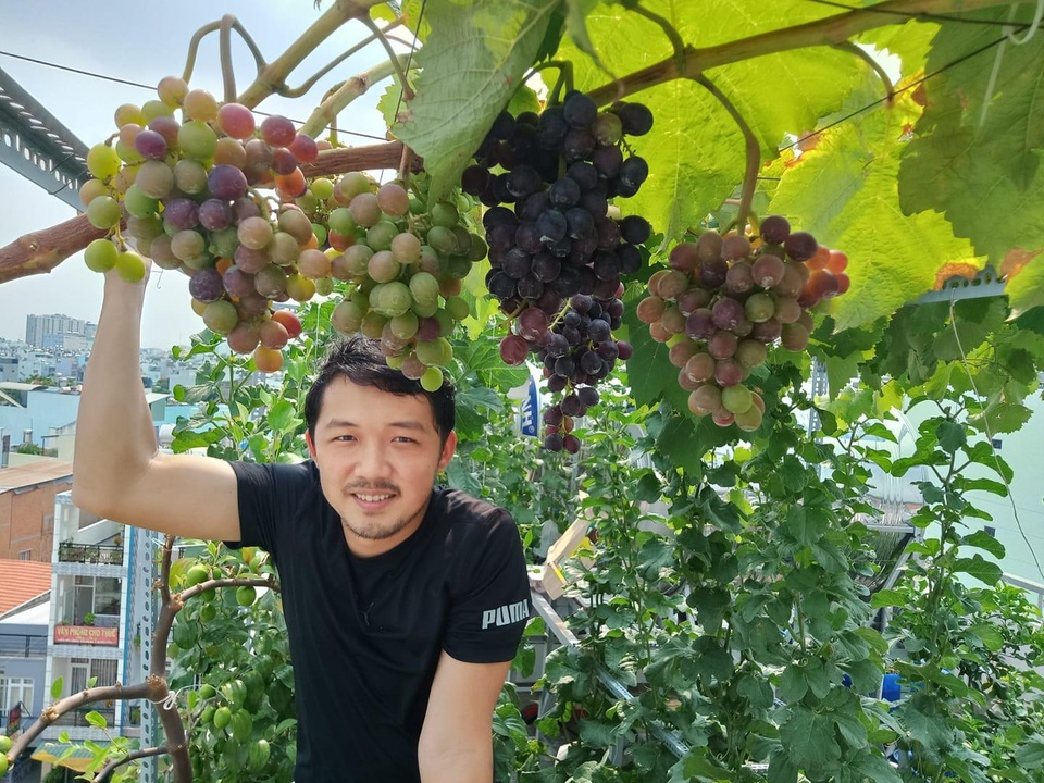 Cả gia đình ở Sài Gòn thỏa thích ăn trái cây nhờ khu vườn trên không - 5
