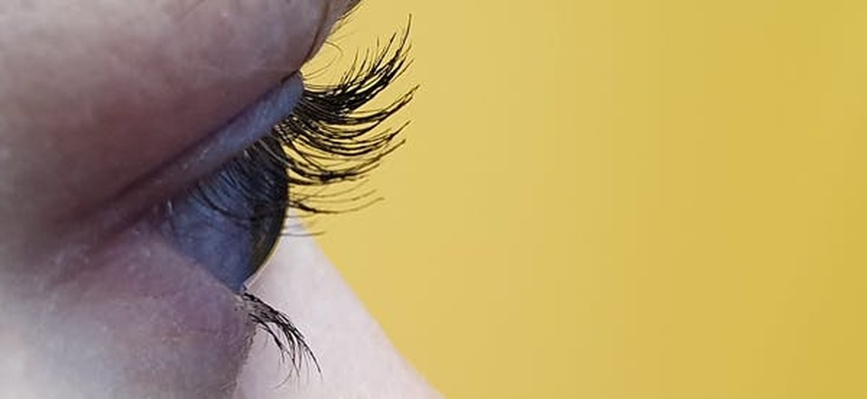 Vì sao lông mi trên dài hơn lông mi dưới? - 1 Vì sao lông mi trên dài hơn lông mi dưới? - 1