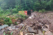 Vụ sạt lở vùi lấp nhiều xe container: Lào tạm cấm đường