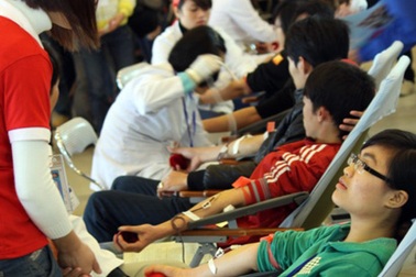 Những giọt máu rực đỏ yêu thương