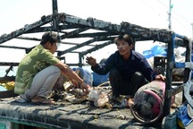 Một lòng sống chết với Hoàng Sa!