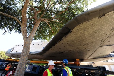 Cây “giam chân” tàu vũ trụ Mỹ trên các tuyến phố