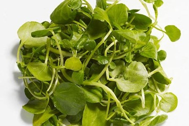 Ăn gì trước khi tập thể dục?