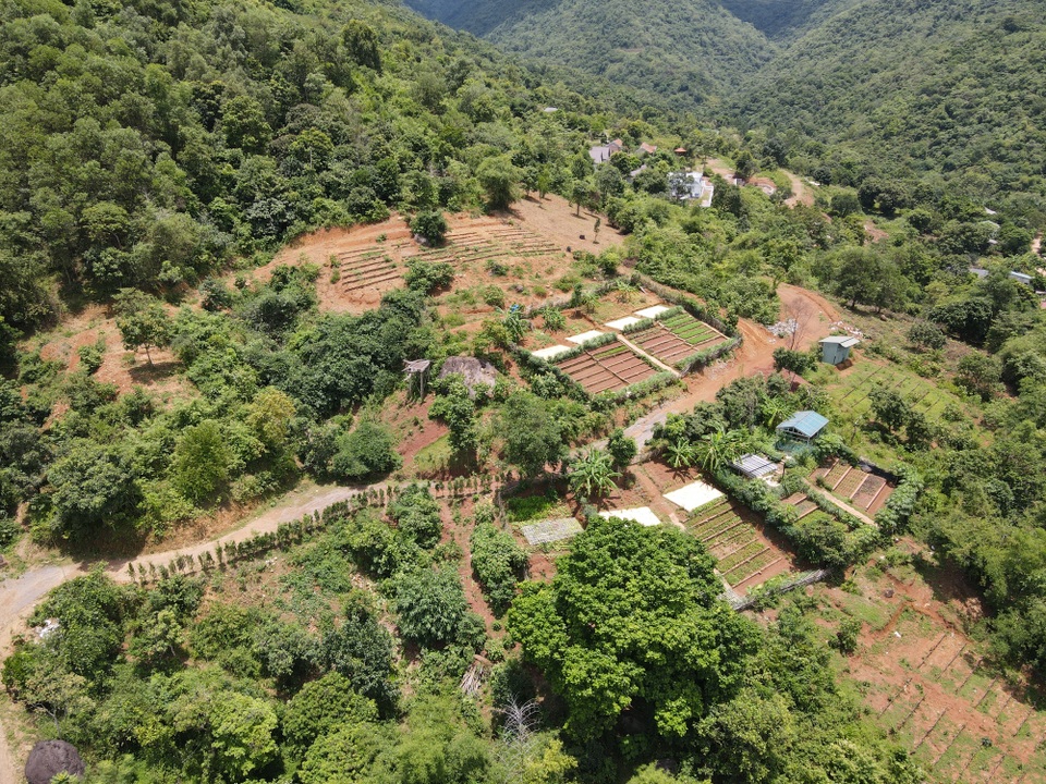 Cảnh báo rủi ro cho khách hàng mua bánh vẽ bất động sản farmstay - 3 Cảnh báo rủi ro cho khách hàng mua bánh vẽ bất động sản farmstay - 3