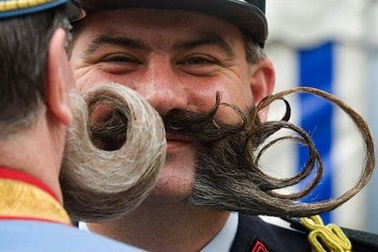 Các quý ông thi râu, ria đẹp