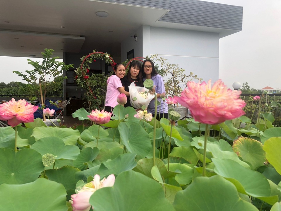Doanh nhân 7x đào ao trồng sen đẹp hút hồn trên sân thượng 400m2 ở Sài Gòn - 5 Doanh nhân 7x đào ao trồng sen đẹp hút hồn trên sân thượng 400m2 ở Sài Gòn - 5