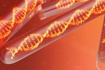 Tìm thấy bộ gen HIV dài nhất, cổ nhất từng được biết đến