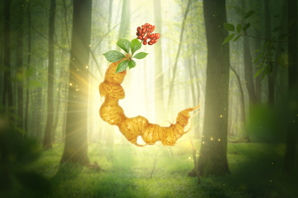 NNRIS mang đến giải pháp dinh dưỡng chiết xuất sâm Ngọc Linh - 1 NNRIS mang đến giải pháp dinh dưỡng chiết xuất sâm Ngọc Linh - 1