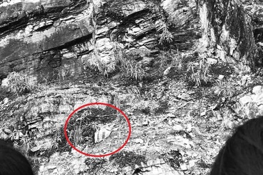 Bé gái 4 tuổi trượt chân tại núi đá Sa Pa, tử vong