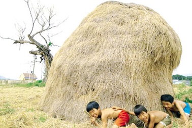 Cảnh báo thiếu hụt phụ nữ trong tương lai