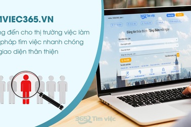 Timviec365.vn - nơi “ươm mầm” giấc mơ việc làm trong CV xin việc chuyên nghiệp