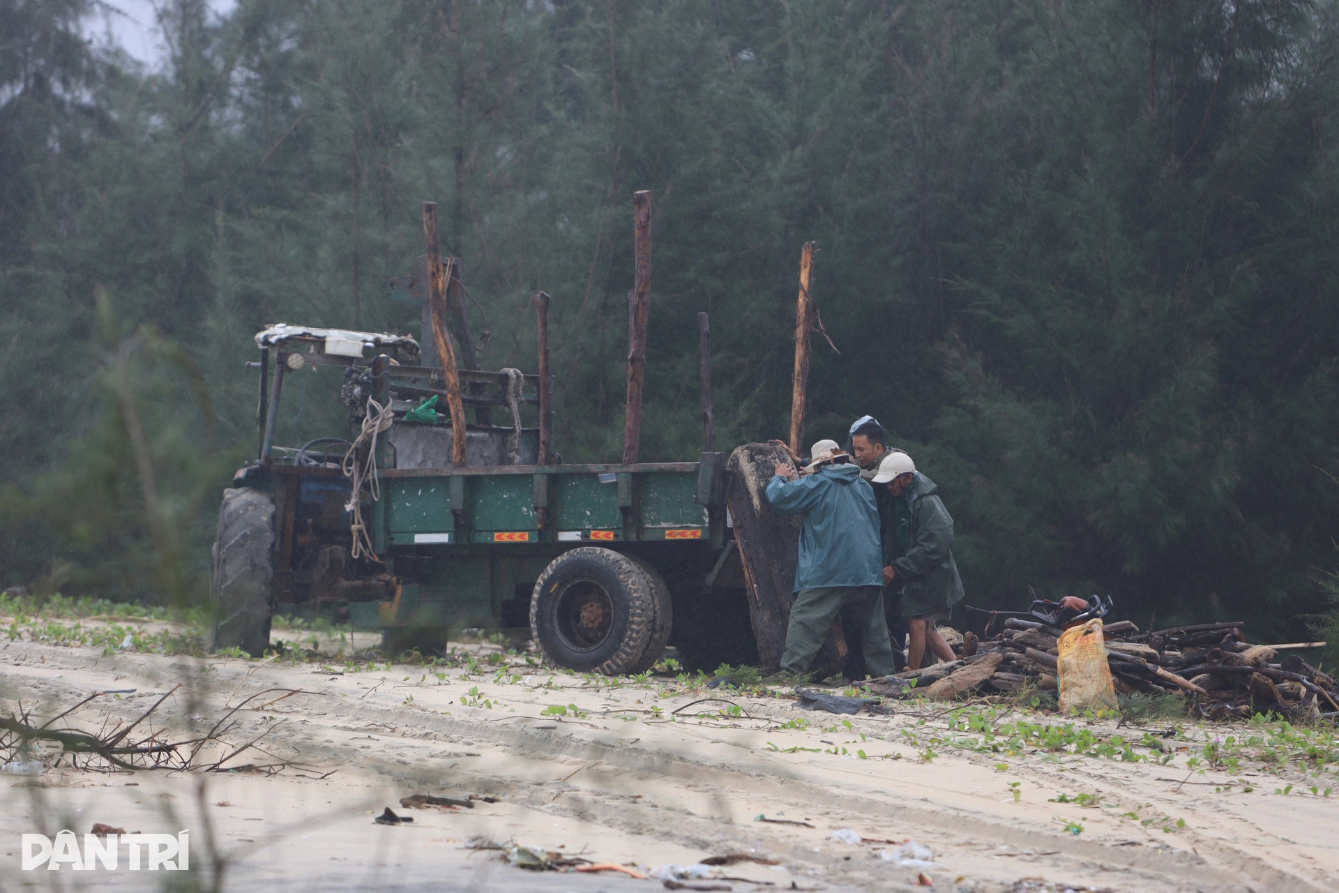Rừng phòng hộ biến mất, sóng biển đe dọa khu dân cư - 6