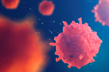 Bạn có vững kiến thức nhiều mặt?