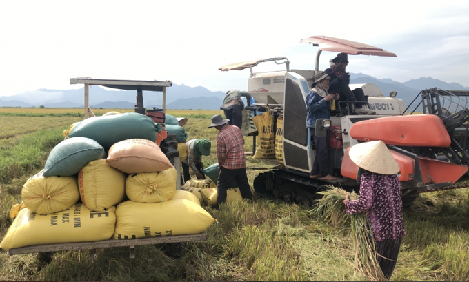 Người dân xã nông thôn mới Lộc Điền (Phúc Lộc, Thừa Thiên Huế) thu hoạch vụ Hè Thu