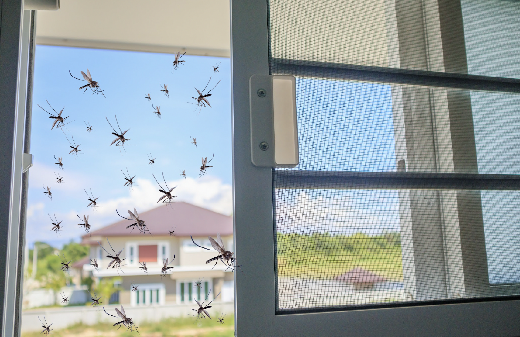 Mức độ nguy hiểm khó lường của sốt xuất huyết - 3